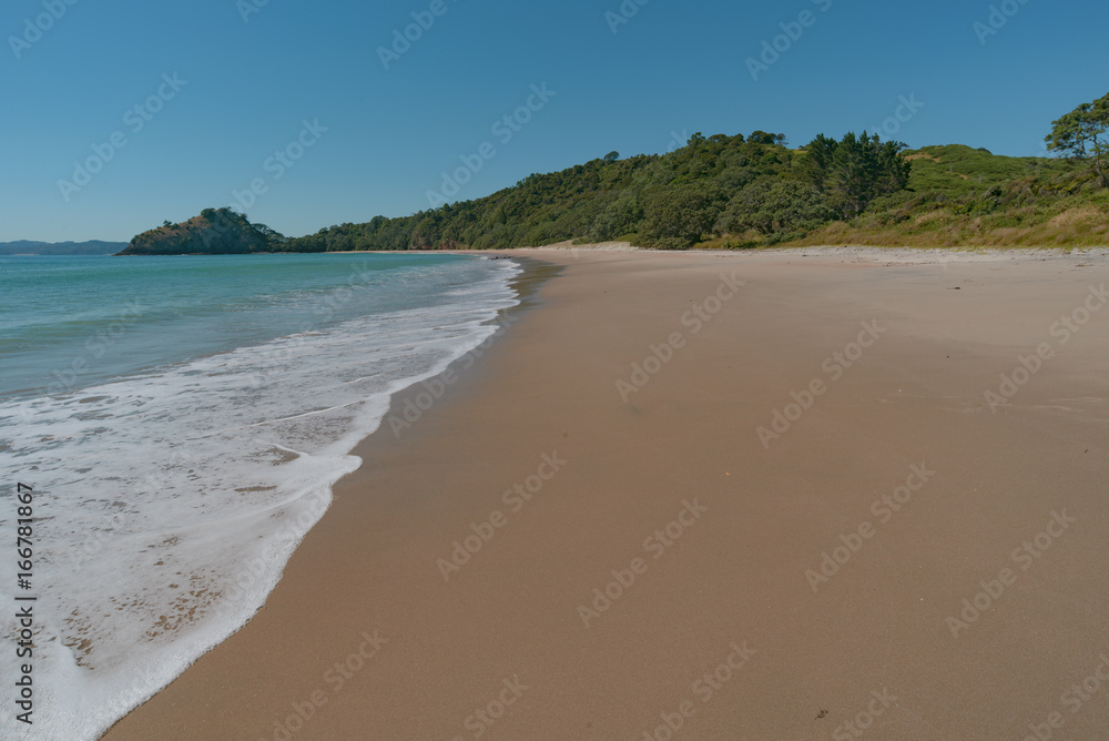 Fototapeta premium New Chum Beach, Coromandel, New Zealand., which has been voted as one of the world's top 10 beaches. 