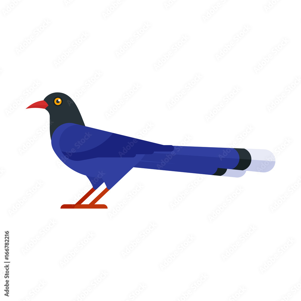 Fototapeta premium illustration of Taiwan blue magpie.