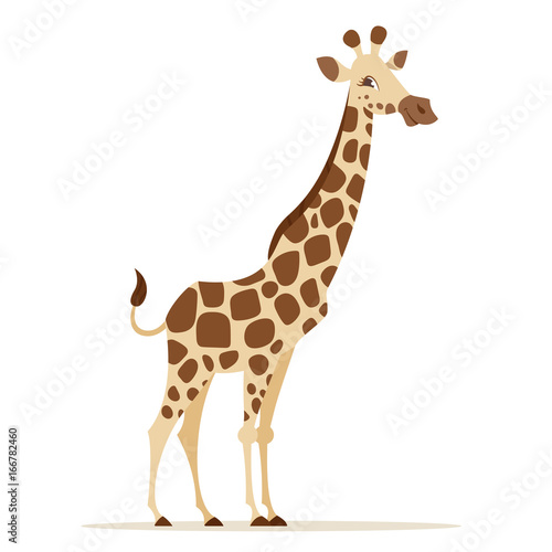 Vector cartoon style illustration of giraffe 