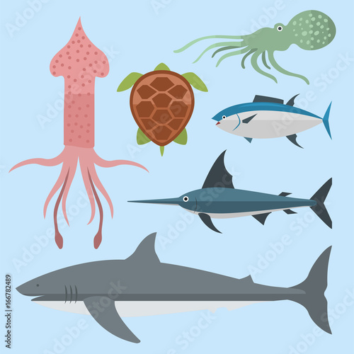 Vector sea animals creatures characters cartoon ocean underwater aquarium life water graphic aquatic tropical beasts illustration