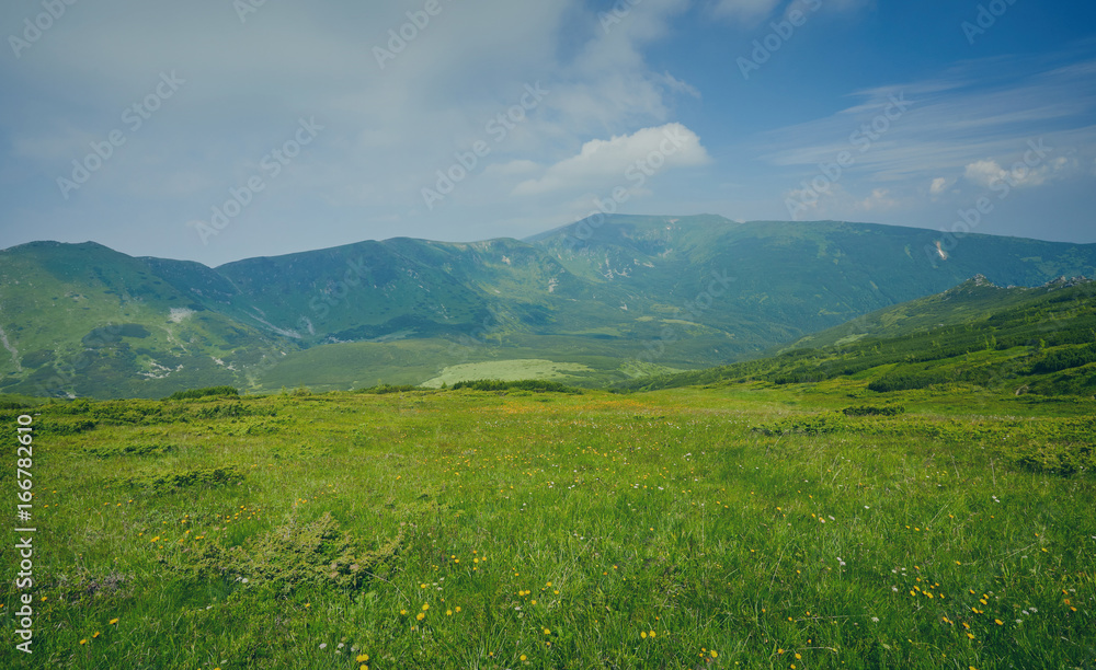 Field in mountains during sunrise. Field in mountains during sunrise.