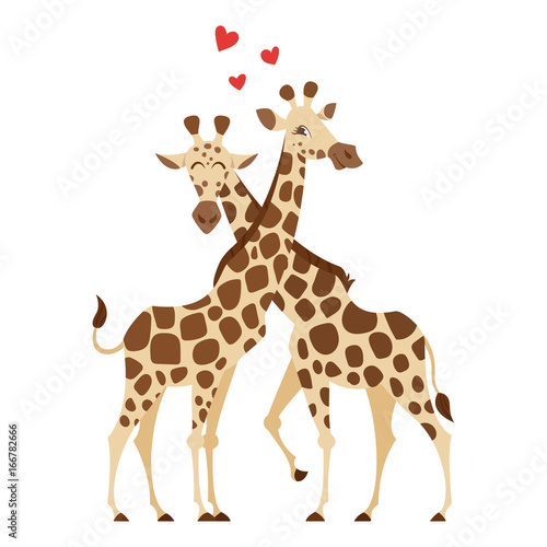 cartoon style illustration of two giraffes.