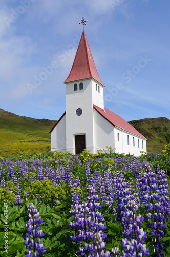 Rural village church surrounded by green mountains and purple and white mountain lupines