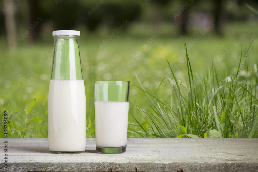 Pouring milk in the glass on the background of nature. Pouring milk in the glass on the background of nature.