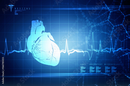 Photography 2d illustration of human body organ(heart anatomy)