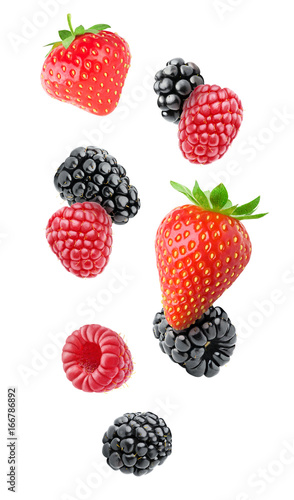 Isolated berries. Strawberry, blackberry and raspberry and blueberry fruits floating in the air isolated on white background with clipping path