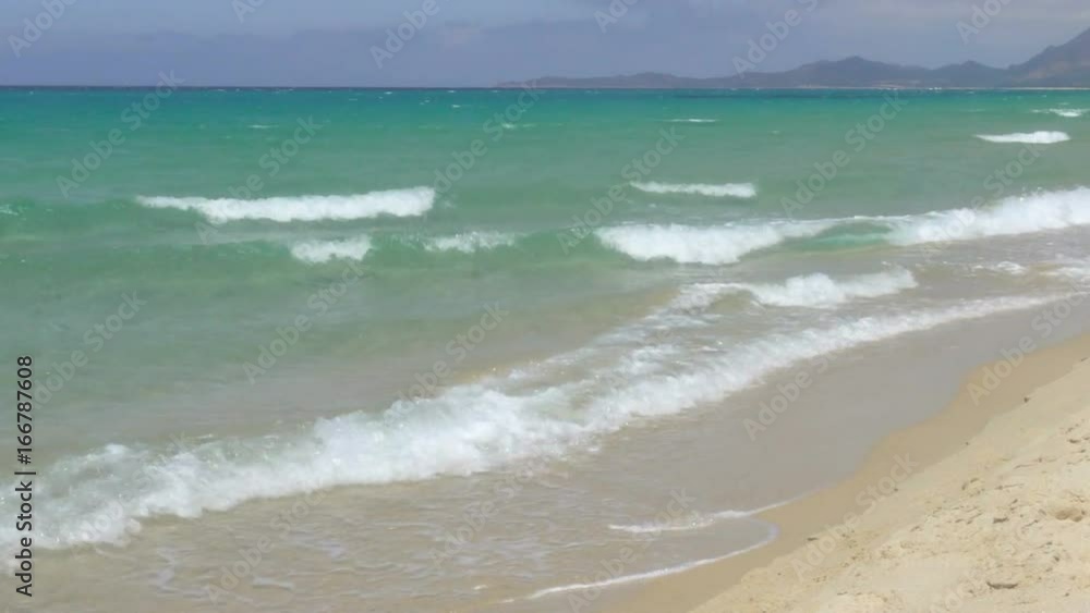 White Wild Mediterranean Sea Beach in Italy with Clear Blue Water White Wild Mediterranean Sea Beach in Italy with Clear Blue Water