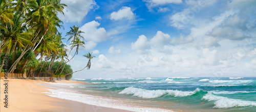 Fototapeta Naklejka Na Ścianę i Meble -  Beautiful ocean and tropical palm trees on the beach