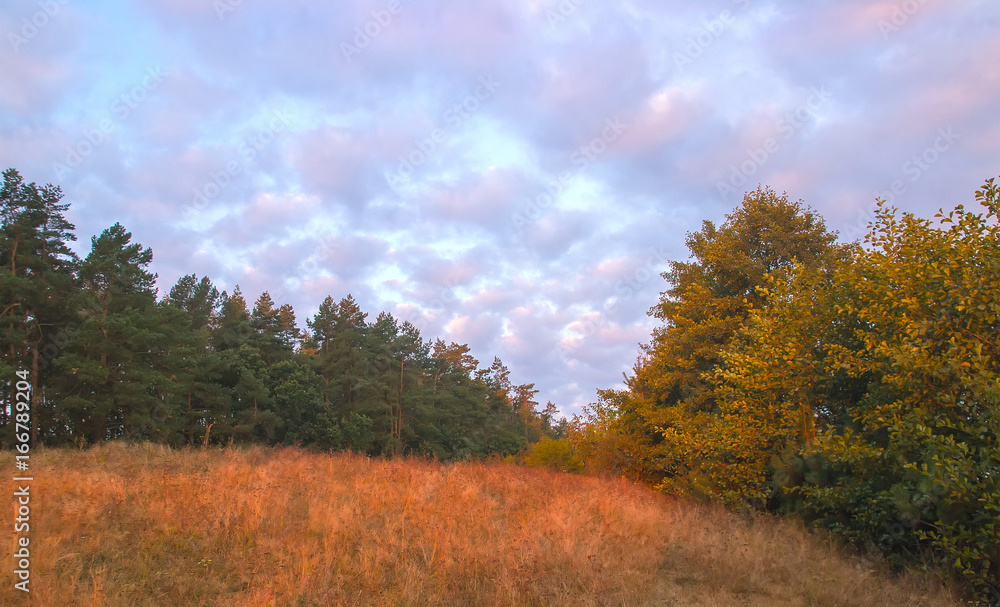 Cloudy autumn morning. Fresh nature. Bright sunrise in the meadow.