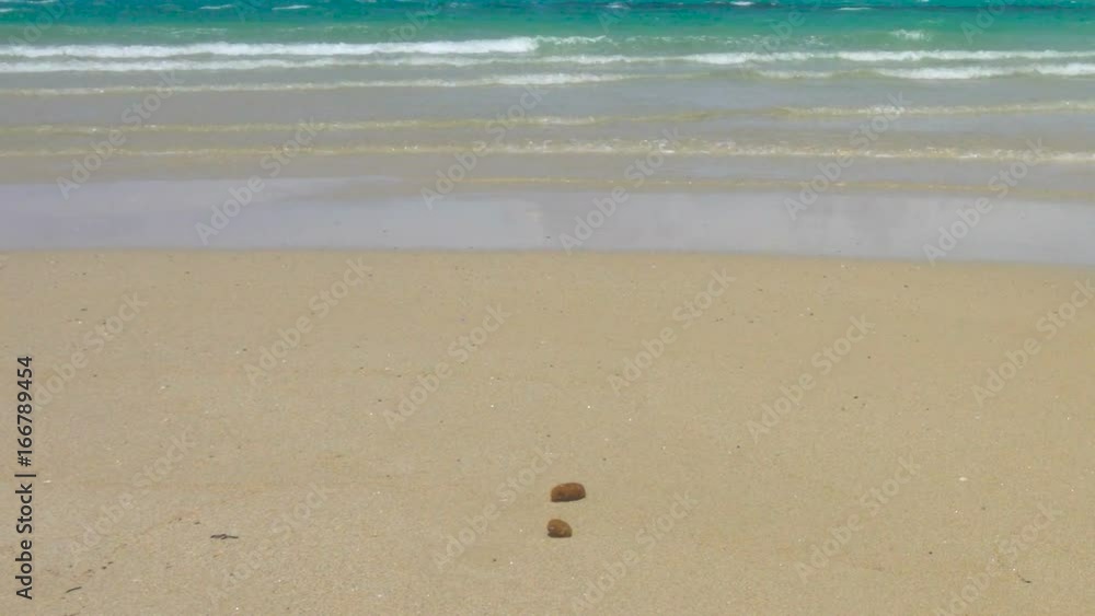 White Wild Mediterranean Sea Beach in Italy with Clear Blue Water White Wild Mediterranean Sea Beach in Italy with Clear Blue Water