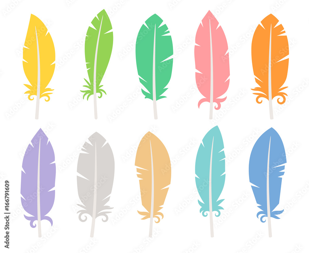 Set of colored bird feathers Set of colored bird feathers