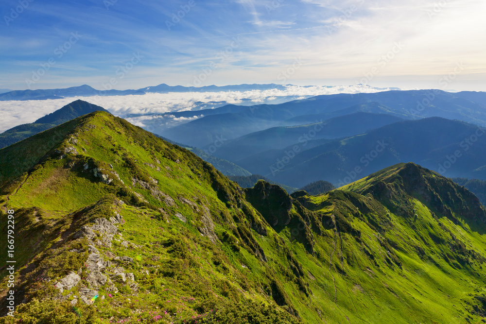 Naklejka premium Carpathian Mountains in the morning.