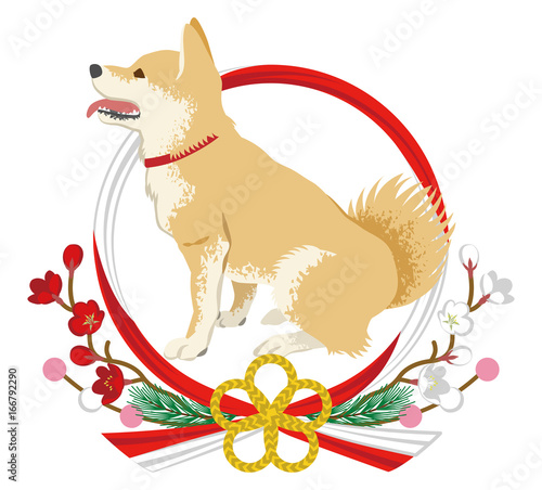 柴犬と水引き飾り　横向き -Shiba inu into the Japanese wreath decoration -Side view, Mouth opened