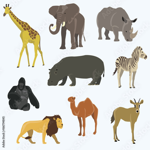 Vector illustration of cute animal set including monkey  giraffe  elephant  zebra  tiger  hippopotamus  antelope  deer  lion