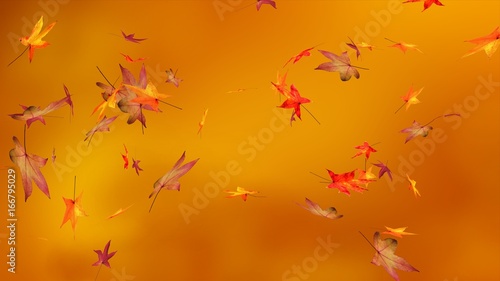 Autumn, blur background, maple leaves