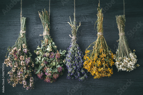 Fototapeta Naklejka Na Ścianę i Meble -  Hanging bunches of medicinal herbs and flowers. Herbal medicine. Retro toned photo.