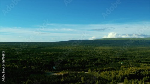 Wallpaper Mural Green Forest Aerial Torontodigital.ca
