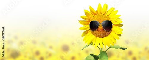 Sonnenblume mit Sonnenbrille