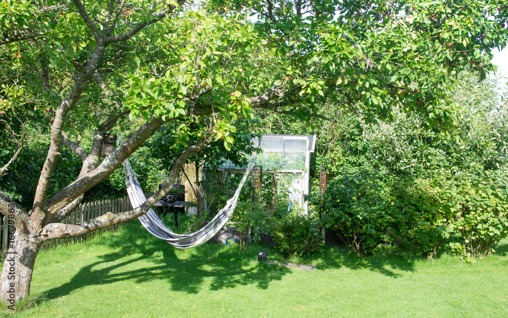 Hammock hanging in plum tree and greenhouse in lush green garden