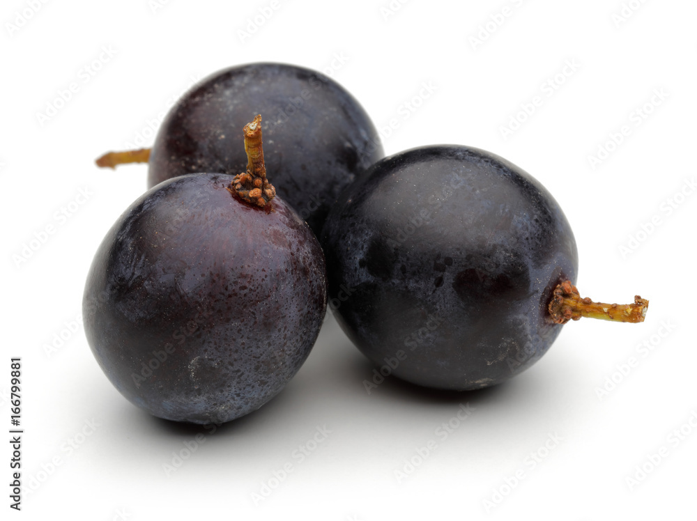 Grapes Grapes