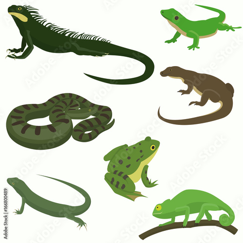 Reptiles and amphibians decorative set icons in cartoon style isolated vector illustration