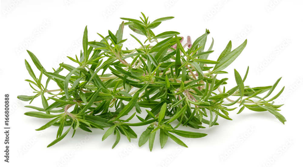 Thyme