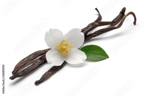 Vanilla sticks with jasmine