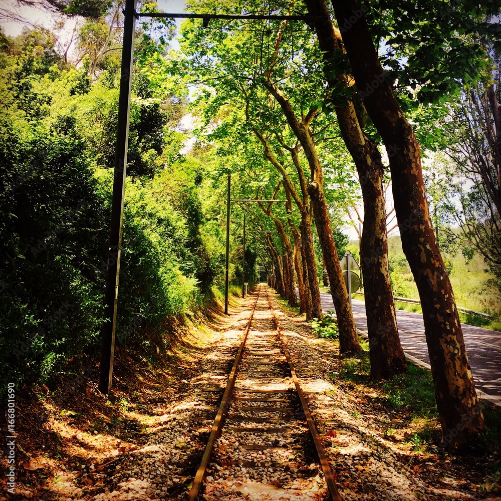 Obraz premium Sintra, tram to the beach