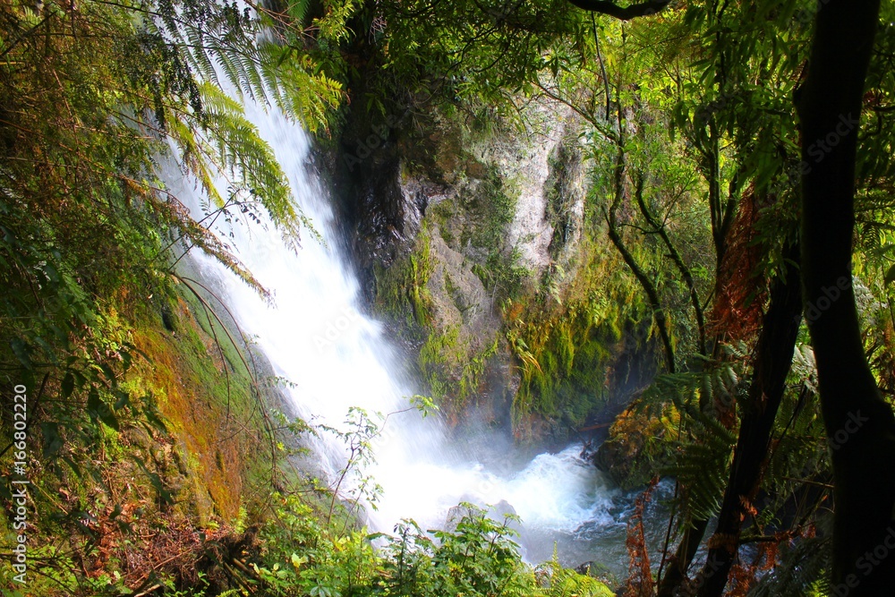 Wasserfall auf Neuseeland Wasserfall auf Neuseeland