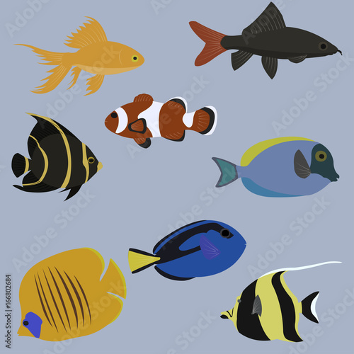 Vector set of marine animals. Sea life. Flat style