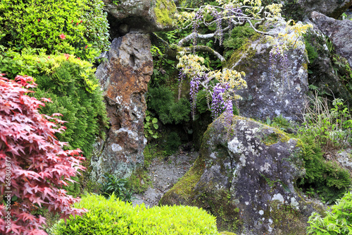 Japanese garden in Chiran Japan. photo