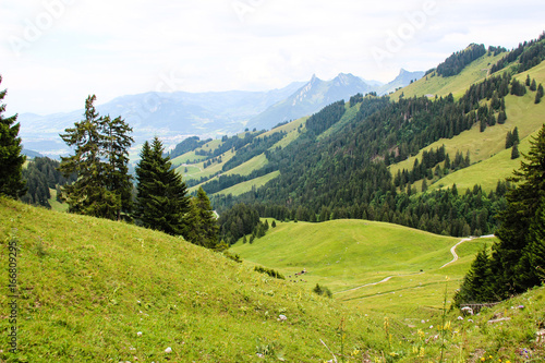 rando suisse alpes nature © FABIEN