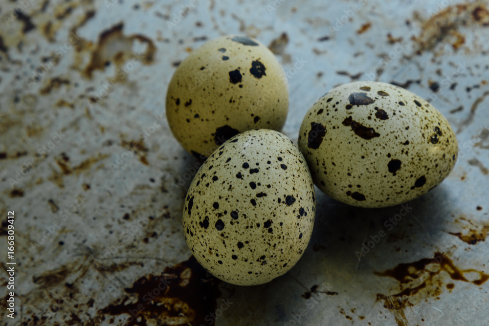 Obraz premium healthy quail eggs