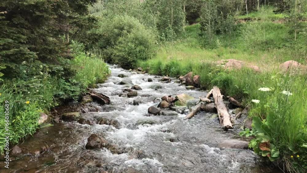 Clear Mountain Stream in 4K Clear Mountain Stream in 4K