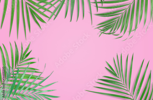 Tropical palm leaves on pink background. Minimal nature. Summer Styled.  Flat lay.  Image is approximately 5500 x 3600 pixels in size