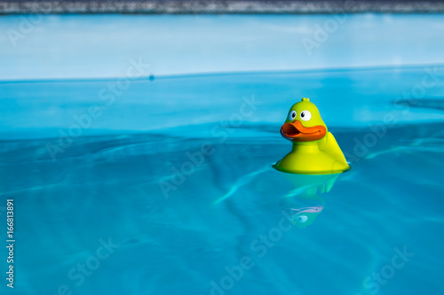 Rubber duck