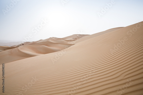 Fototapeta Naklejka Na Ścianę i Meble -  Rub al Khali Desert at the Empty Quarter, in Abu Dhabi, UAE
