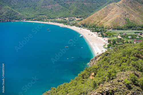 Pine tree with blue sea laguna background Turkey