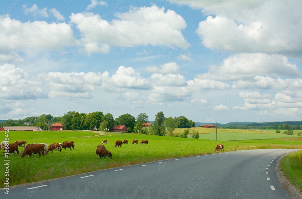 Fototapeta premium Landscape in Sweden