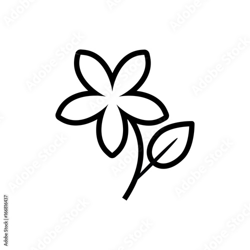 jasmine flower icon