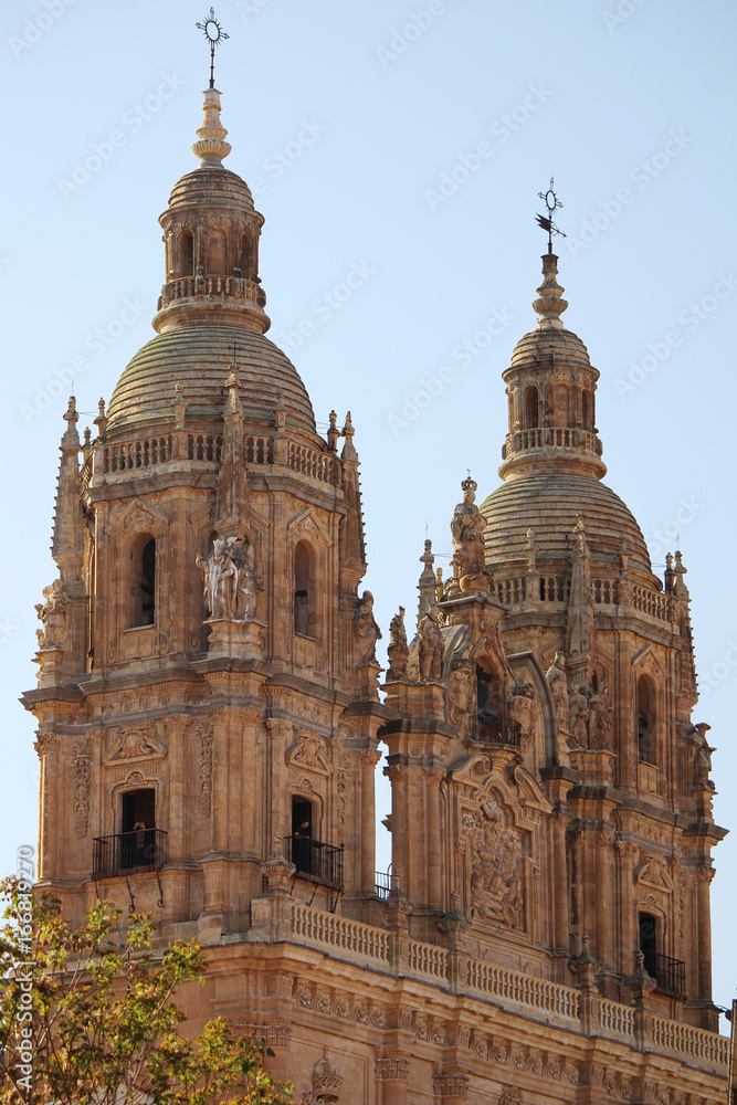 New Cathedral of Salamanca, Spain 