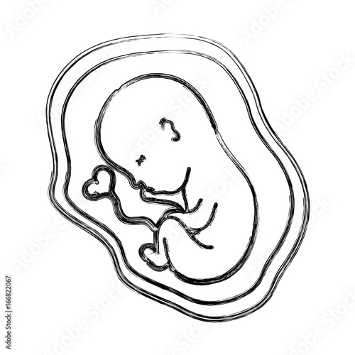 figure baby with umbilical cord inside uterus