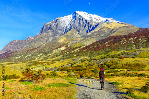 Park Narodowy Torres del Paine, Patagonia, Chile