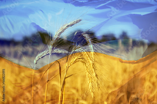 Independence day of Ukraine