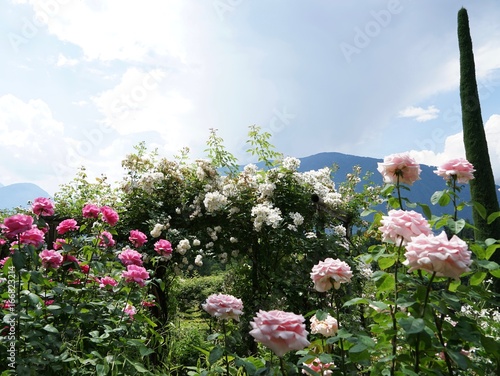 Berg- und Gartenlandschaft in S  dtirol   Meran