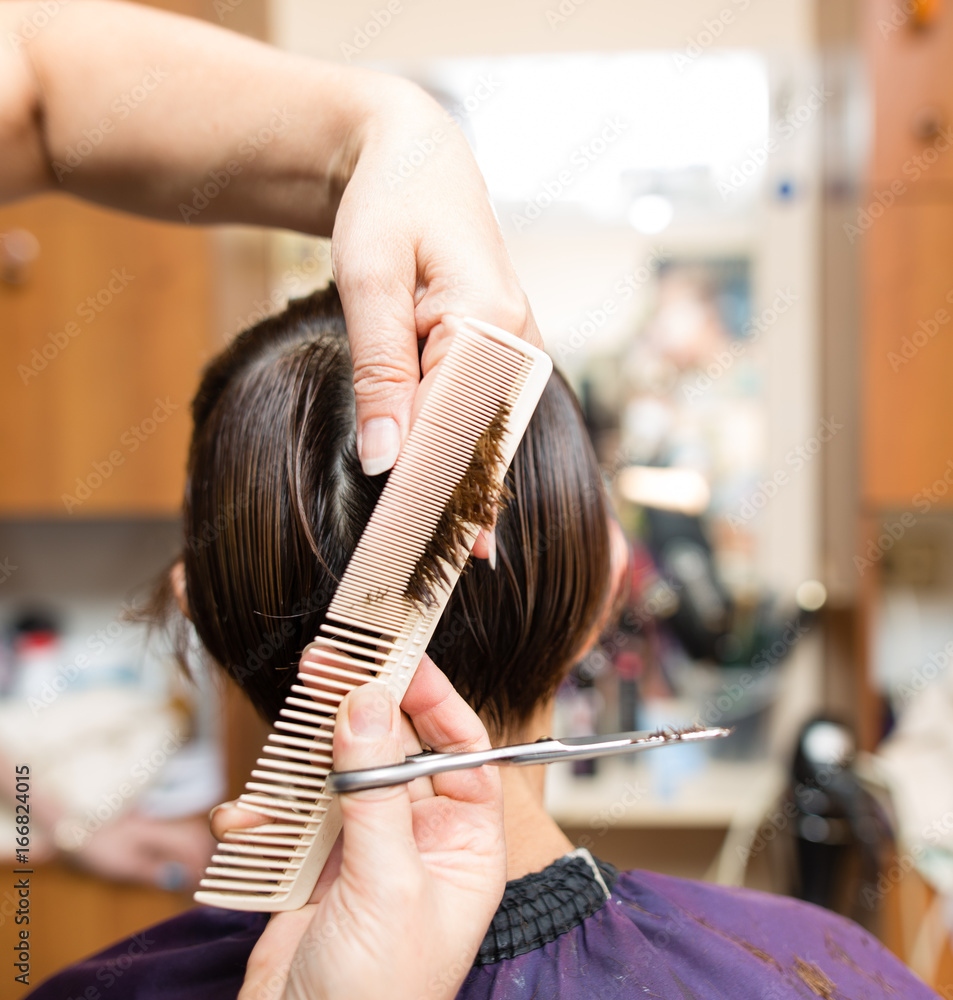 Fototapeta premium Female haircut with scissors in the beauty salon