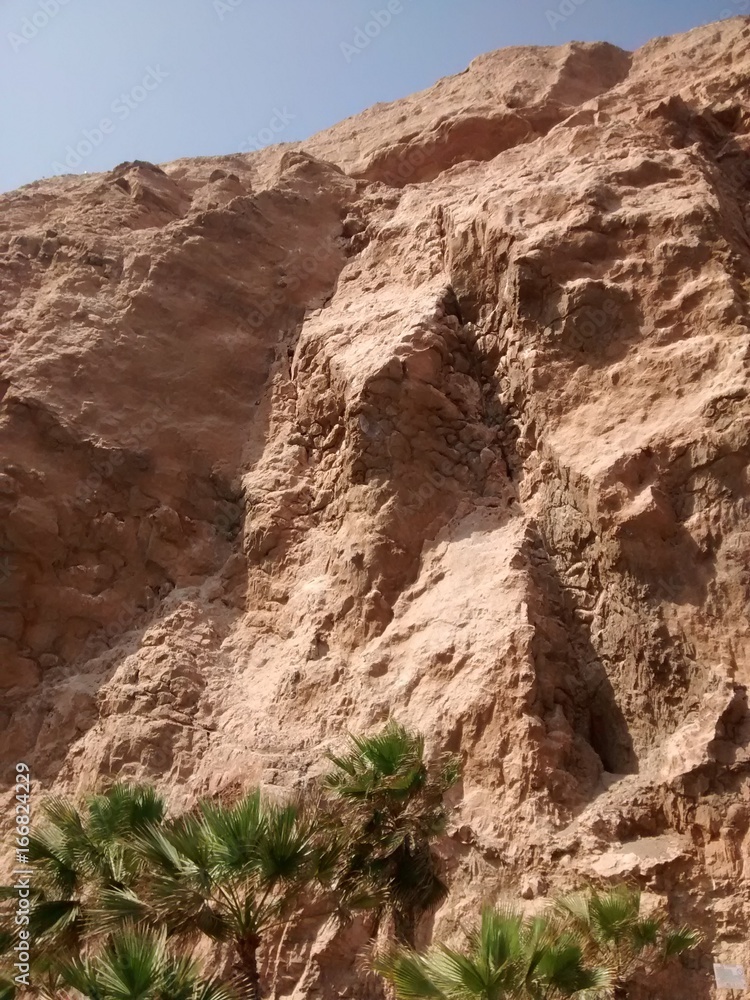 Fototapeta premium Roca