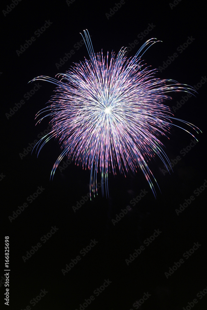 古河花火大会尺玉stock Photo Adobe Stock