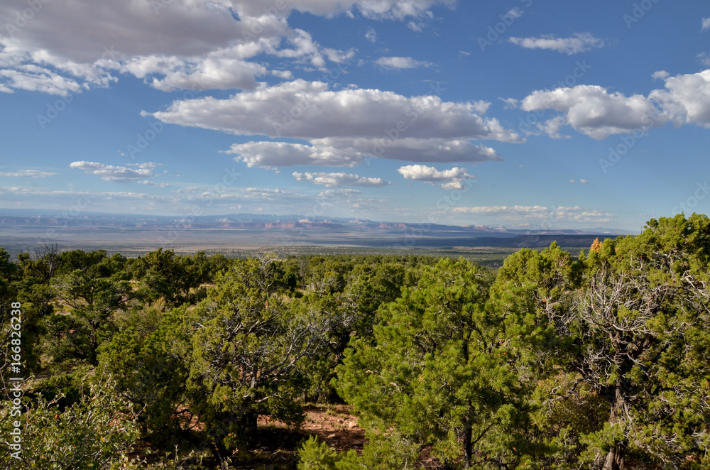 juniper forests on the slopes of Lefevre ridge and mountains of southern Utah in the distance
Cococino County, Arizona, USA