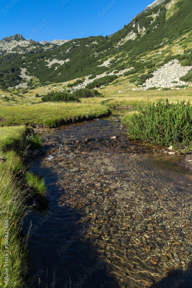 Landscape with clear water of Mountain river, Pirin Mountain, Bulgaria Landscape with clear water of Mountain river, Pirin Mountain, Bulgaria